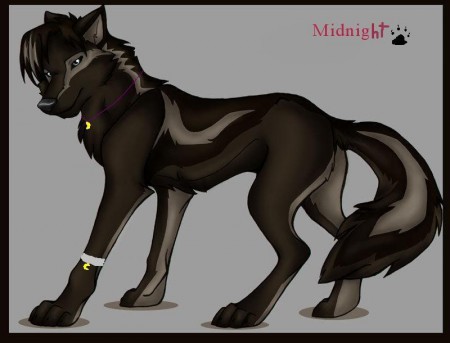Midnight